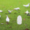 Pigeon Water Feeder Plastic 29x16x16cm 3