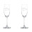 2er-Pack Champagnergläser mit dem Sternzeichen Fische (237 ml) 1