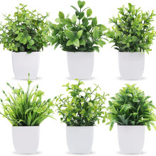 Planda potaithe eoclaipteis shaorga Yirtree