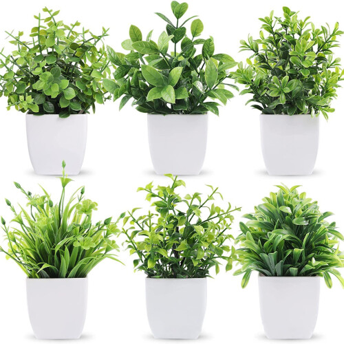 Planda potaithe eoclaipteis shaorga Yirtree