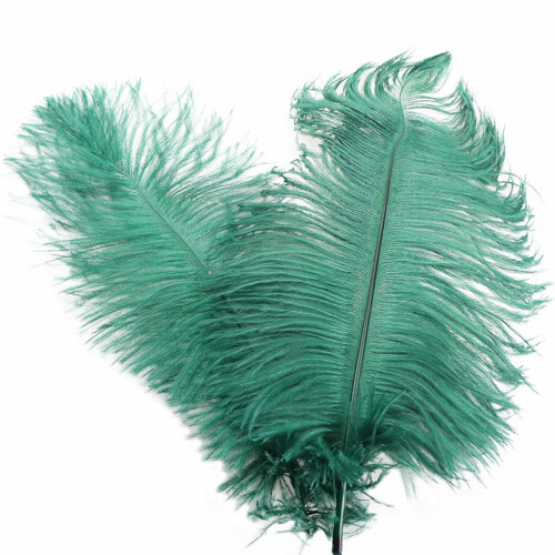 Plumes colorées décoratives XIUH 32 cm