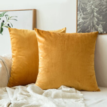 Conjunto de 2 capas de almofada de veludo 20x20 polegadas