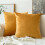 Conjunto de 2 capas de almofada de veludo 20x20 polegadas 1