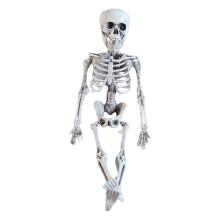 Schelet de Halloween decorațiune realistă din plastic, 40 cm