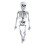 Schelet de Halloween decorațiune realistă din plastic, 40 cm 1