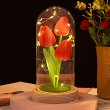 Veilleuse Tulipes TUOBARR, lampe de chevet artisanale