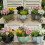 Blumentopf Sukkulenten Pflanzer Eisen Kunst Blumentopf-Grün 7