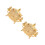 2Sets Gold Seasoning Jar with Spoon Condiment Storage Pot 3