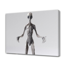 Pôster em tela de criatura alienígena, 40x60cm