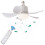 LED Ceiling Fan Light with Remote Control 1