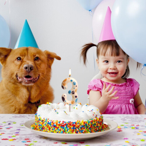 Vela de cumpleaños número 0 con huellas de perro azules 2