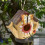 Resin Bird House for Outdoor Wall Hanging 5