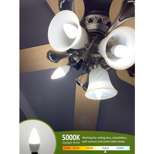 6W LED E12 Kerzenbirne 5000K Tageslicht (12er-Pack) 2