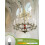 6W LED E12 Kerzenbirne 5000K Tageslicht (12er-Pack) 4
