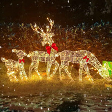 Ensemble de 3 décorations lumineuses de Noël d'extérieur en forme de cerf