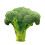 Peluche vegetale – Broccoli, Carota, Pomodoro, 2