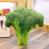 Peluche vegetale – Broccoli, Carota, Pomodoro, 5