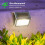 Solar terrasverlichting koel wit, 6 stuks 3