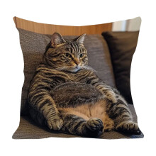 Ensemble de coussins Ă motif animal mignon 45x45cm