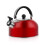 Stainless Steel Whistling Tea Kettle 3L Flat Bottom 5