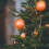 12-Pack Shatterproof Plastic Christmas Ball Ornaments Orange 5