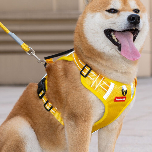 Dog Vest Adjustable Training Harness for Training-Yellow XL 2