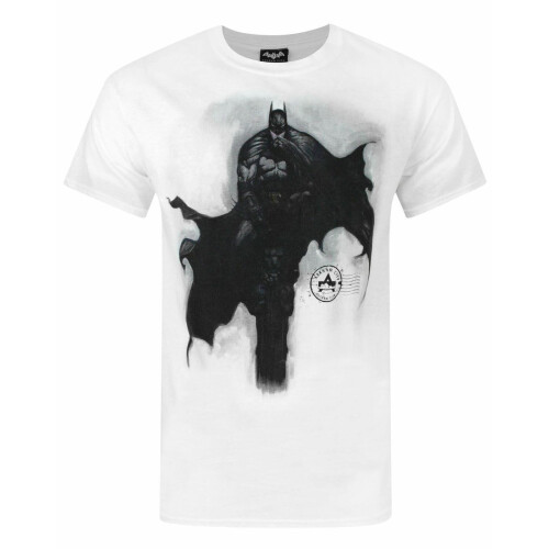DC Comics (Small) DC Comics Short Sleeved T-Shirt (Mens White)