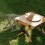 Tabouret pliant vert pour camping, pêche et activités de plein air 5