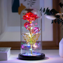 Cúpula de vidro com flor preservada Rosa Eterna e luzes de cordão.
