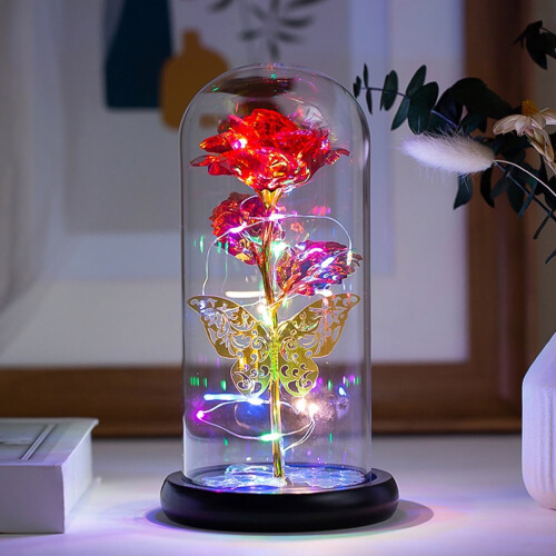 Cúpula de vidro com flor preservada Rosa Eterna e luzes de cordão.