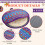 2-pack ruime tortillacontainers, ideaal voor restaurants en 7