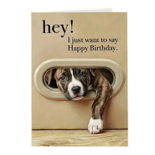 Adorable Dog Themed Birthday Greeting Card For Pet Owners-B