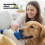 6 Items Canine Enrichment Products Group For Mental-Blue 5