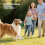 6 Items Canine Enrichment Products Group For Mental-Blue 6