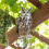 Eulen-Vogelabwehranhänger mit Glöckchen, Außendekoration 1