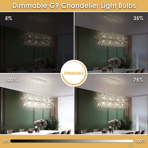 Ampoules LED G9 à intensité variable 4000K 4W 400lm (lot de 6) 1