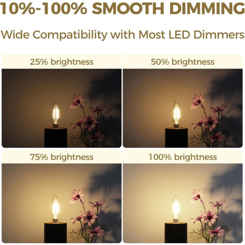 Ampoule LED E12 candélabre 4W 450lm 3000K Dimmable (lot de 12) 2