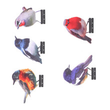 5 stralend gekleurde metalen vogelornamenten-Enkelzijdige kleur