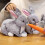 Lapin en peluche gris de 20 cm, lapin en polyester doux 1