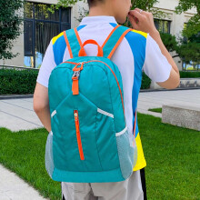 Sacs de rangement pour placard – Organisateurs pliables en plastique pour