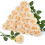 20 Rosas Artificiais Pretas de Veludo e Seda de 10 cm (4 Polegadas) 1