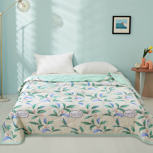 Couette d'été légère en microfibre, format queen, 1 pièce