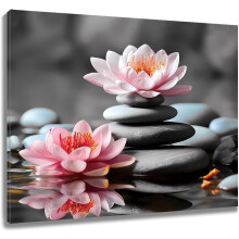 Zen-Stein und rosa Seerose Leinwandbild 16x12 Zoll