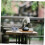 1pc Ceramic Teapot Side Handle Chinese Tea Teapot Side Handle Tea Kettle Retro Tea Set 4