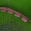 PE Garden Edging Border 5m x 5cm – No-Dig Installation 3