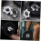 Security Nut and Lock Collars Set for Barbell Dumbbell Nuts 2.5cm Diameter 4PCS Anti-Slip Double Locking 7