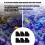 Pack Of 6 Aquariums Filter Cartridges Replacement Filter Sponge 2