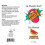 SMACK Tarts Lickable Flavoured Lube 118ml 16
