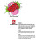 SMACK Tarts Lickable Flavoured Lube 3ml x 36 Display 4