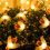 Lampki choinkowe LED Honeybee na baterie 1